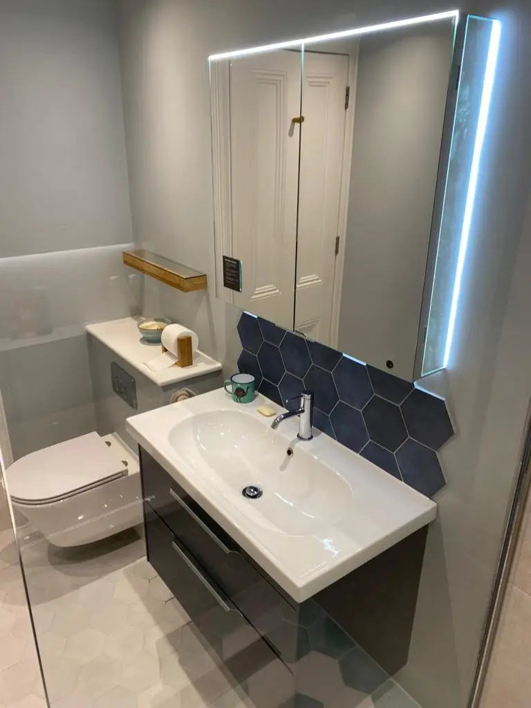 New basin and toilet