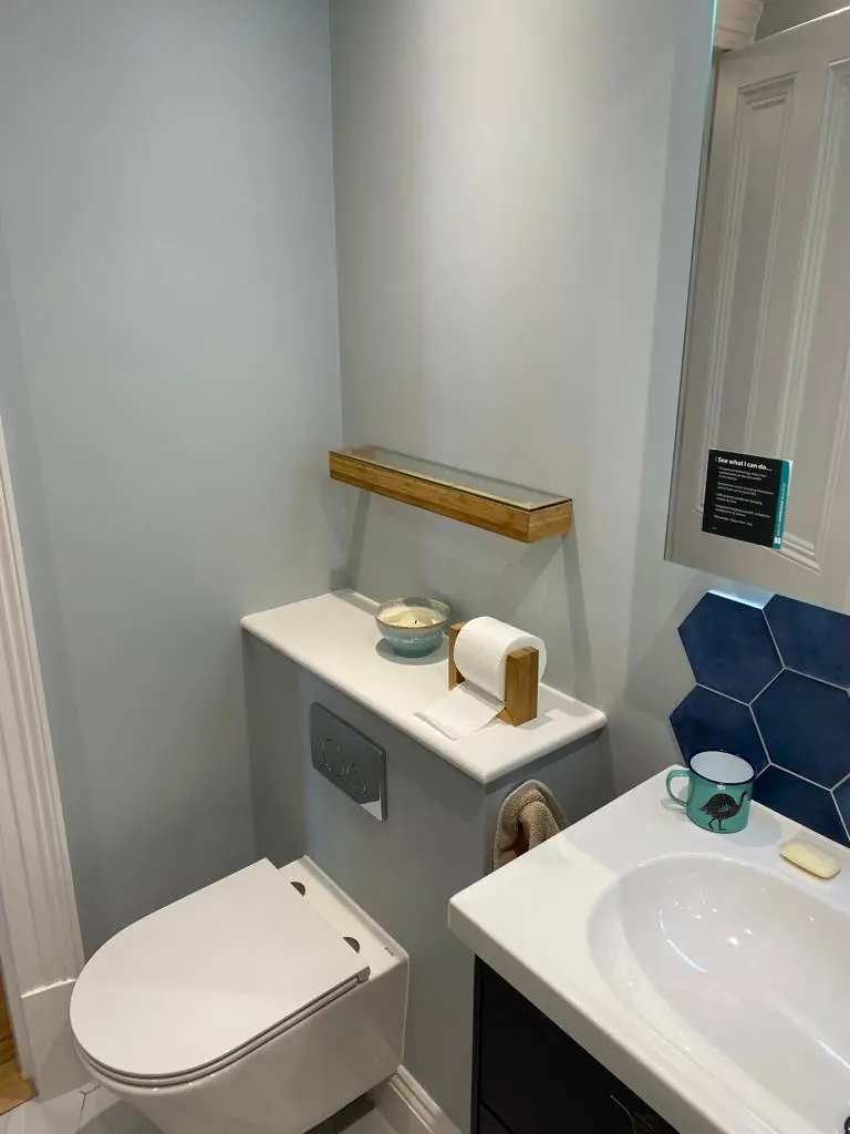 Toilet with built-in shelving and storage